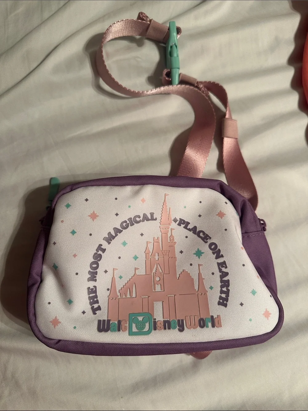 Pink & Purple Disney World Crossbody Bag